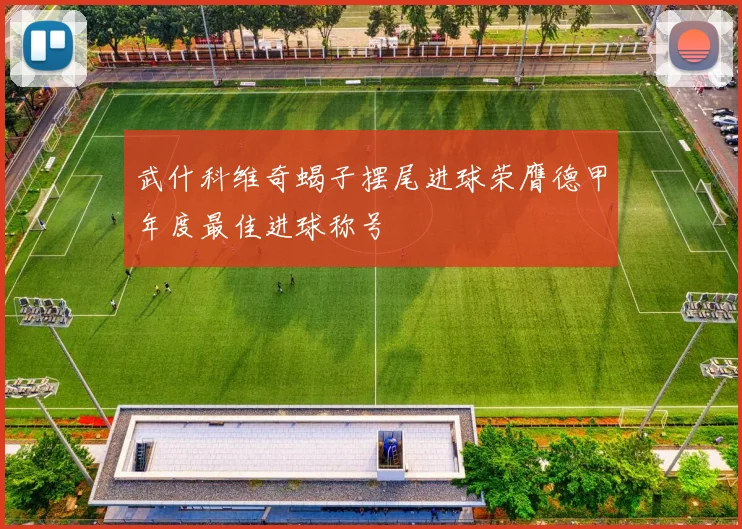 武什科维奇蝎子摆尾进球荣膺德甲年度最佳进球称号